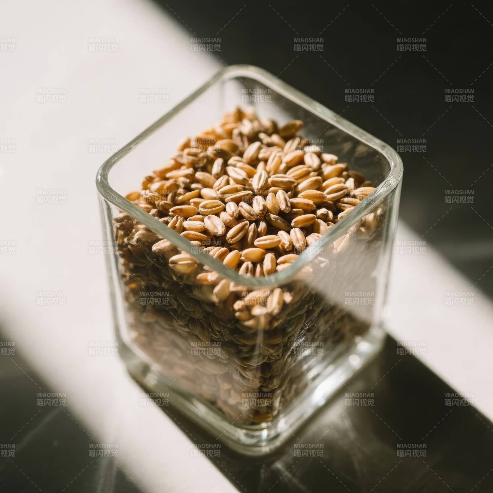 麦粒满杯光影交错图片
