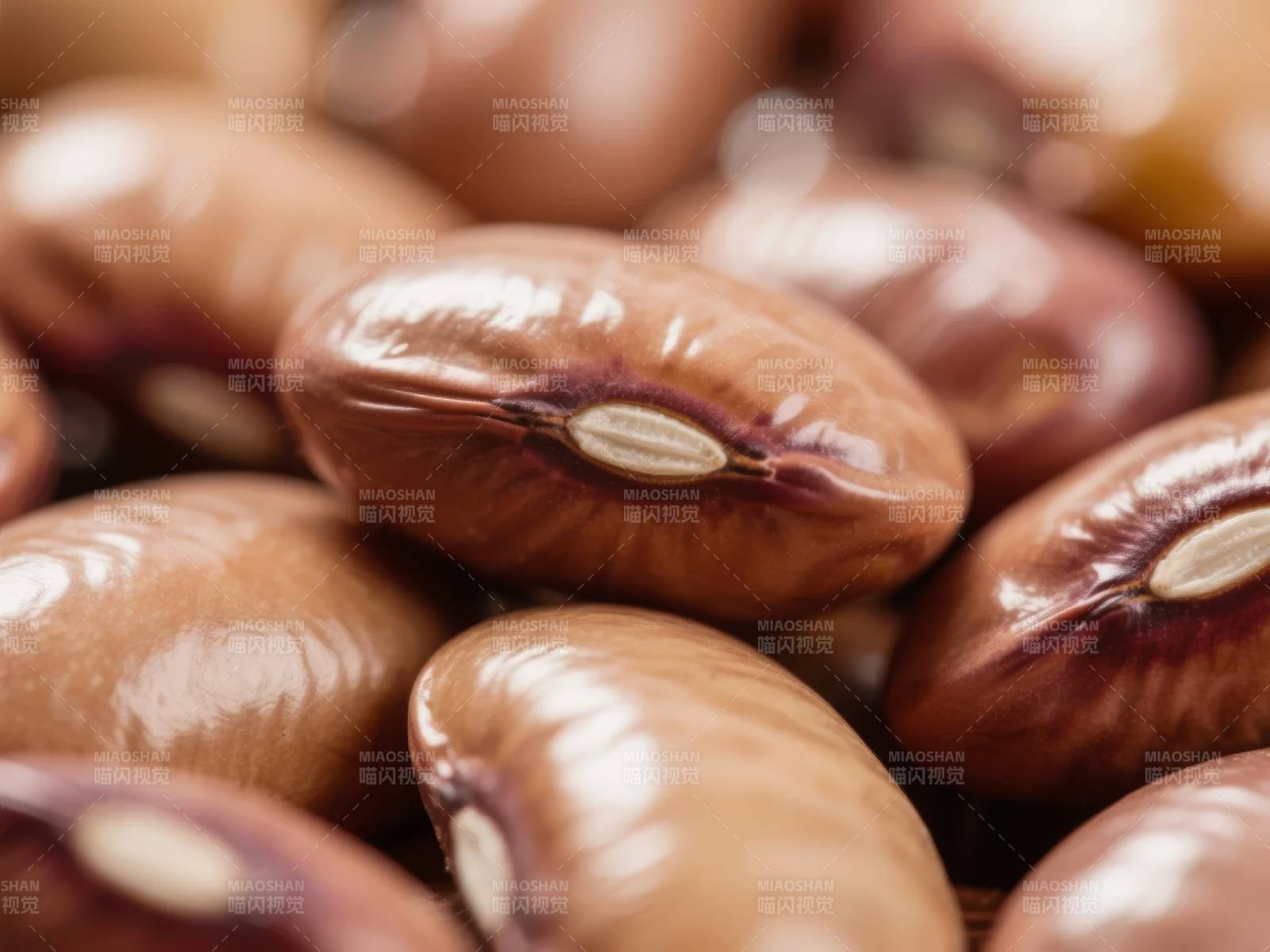 饱满的芸豆特写图片