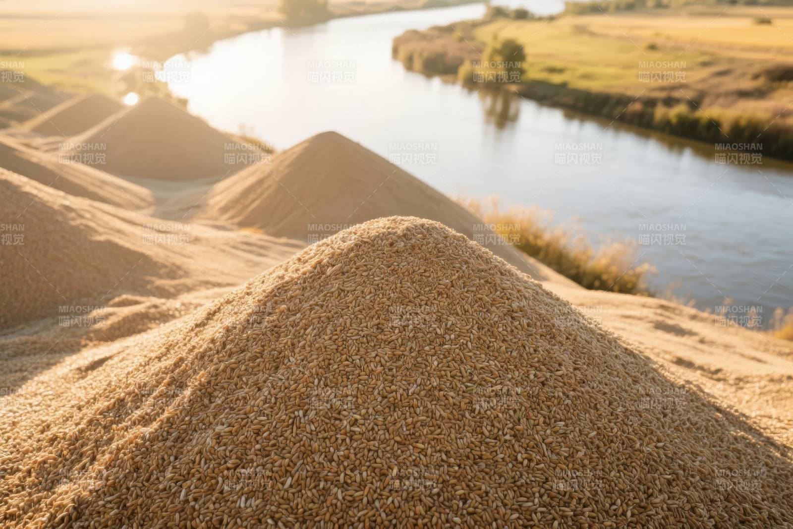 金穗堆畔河光图片