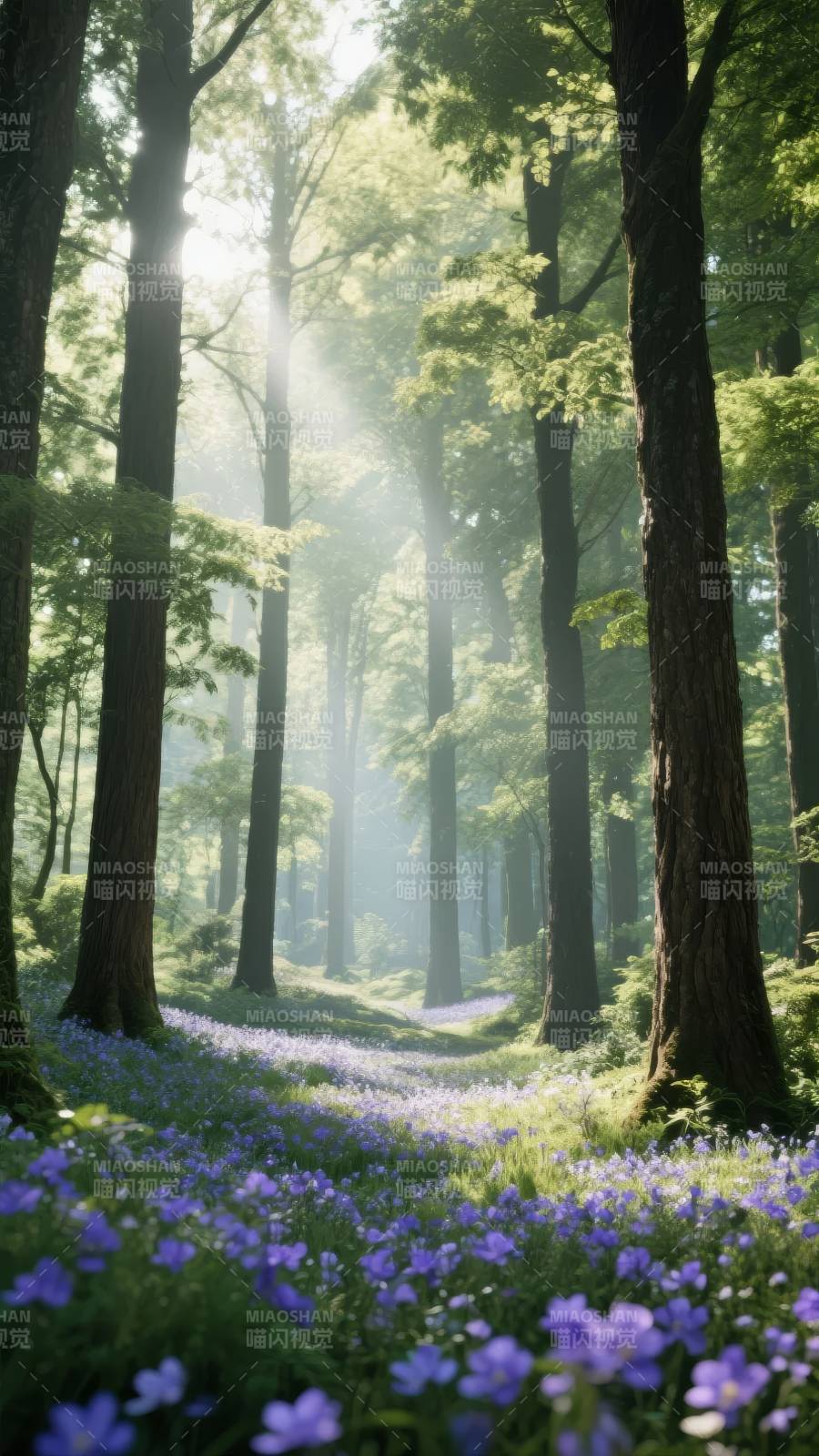 林间紫花小径图片