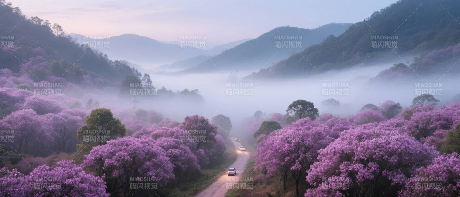 紫花雾山晨曦图片