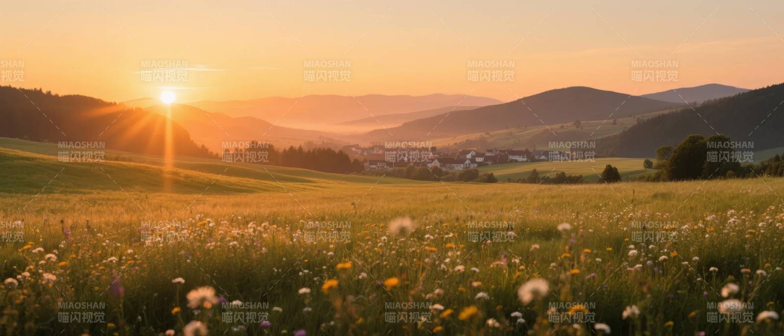 夕阳下的花海图片