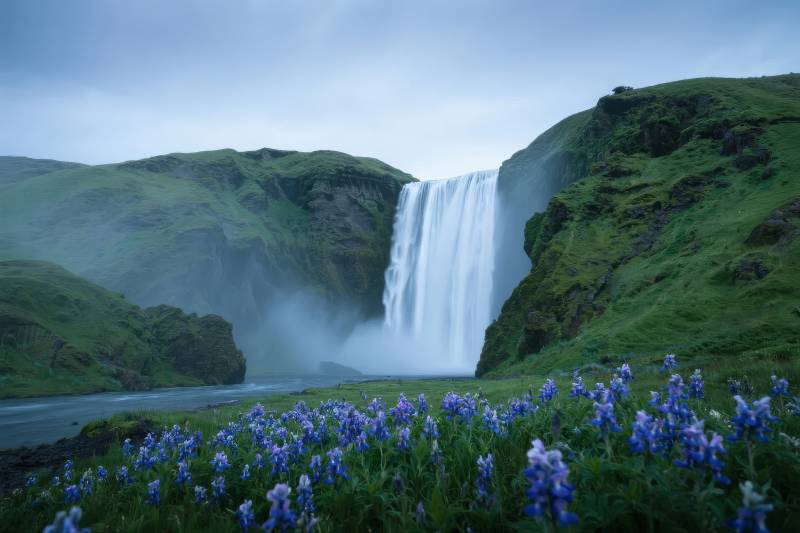 瀑布与蓝花图片