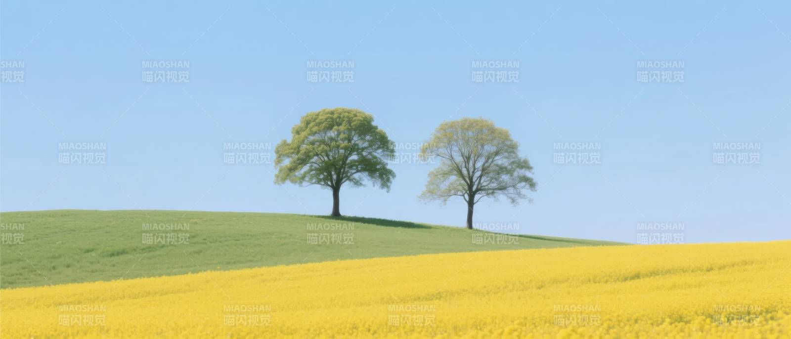 田园风光 两树黄花图片