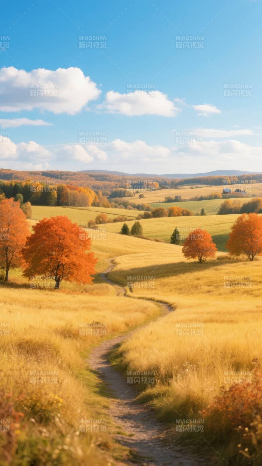 秋日田园小径图片