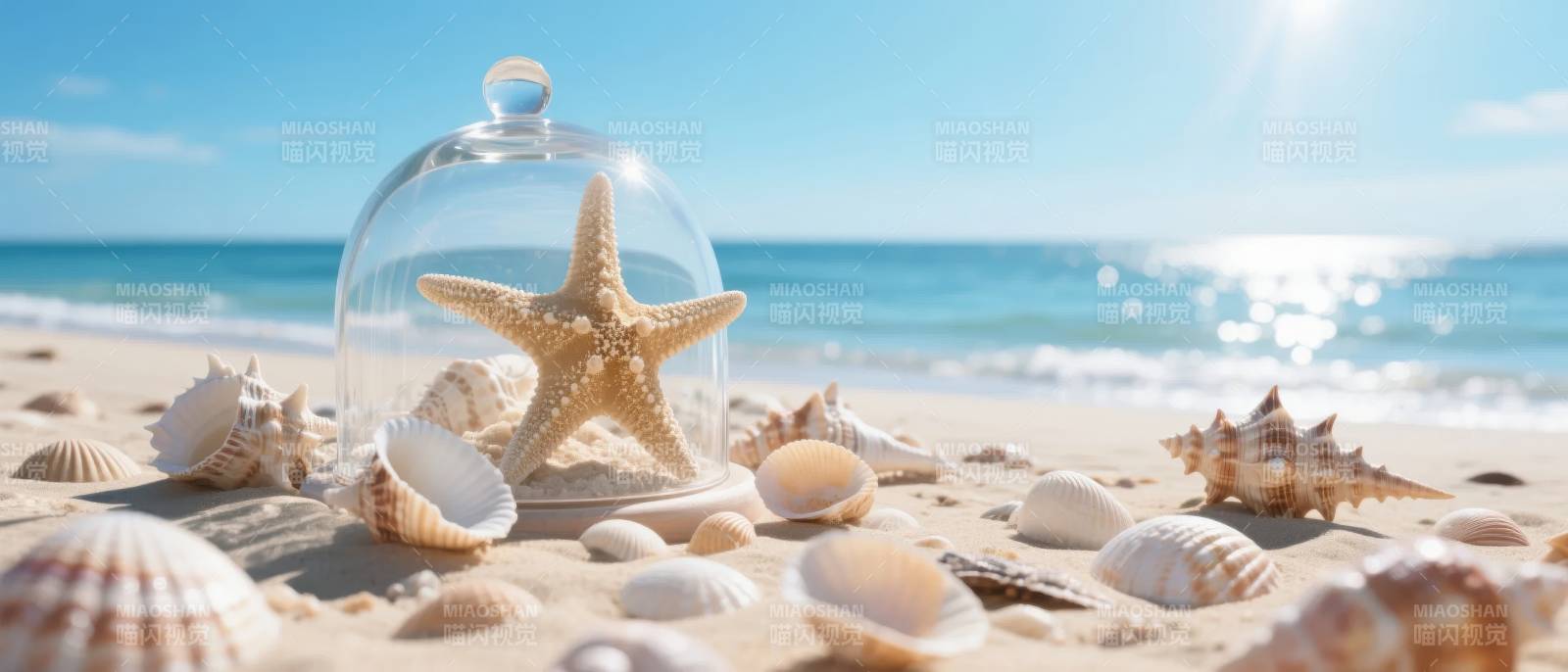 海边星鱼与贝壳图片