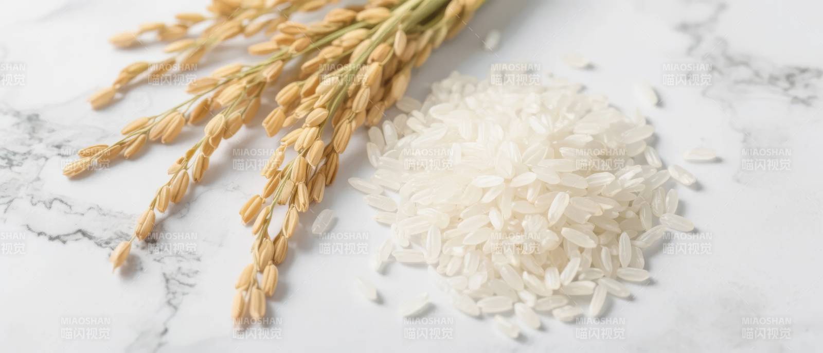 稻穗与白米静置图片