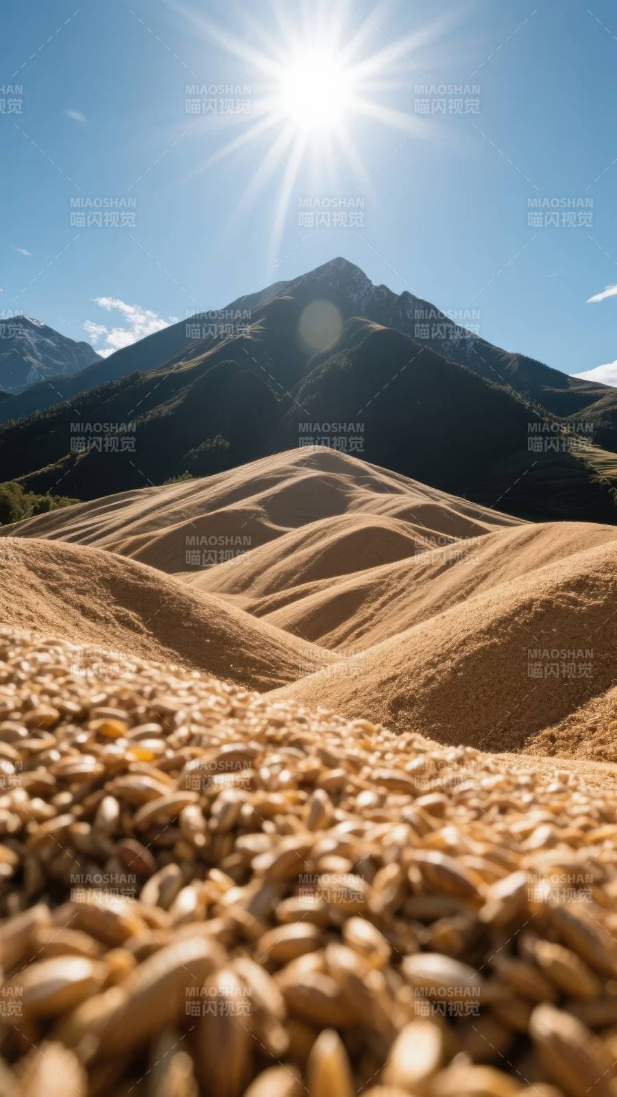 金谷映山光图片