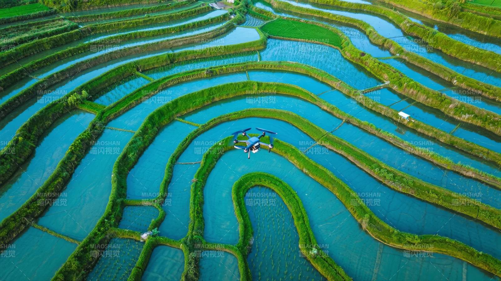 梯田碧水映蓝天图片
