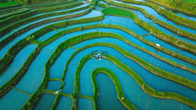 梯田碧水映蓝天图片