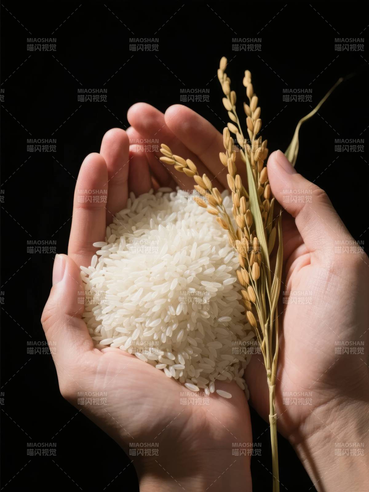 双手捧稻米图片