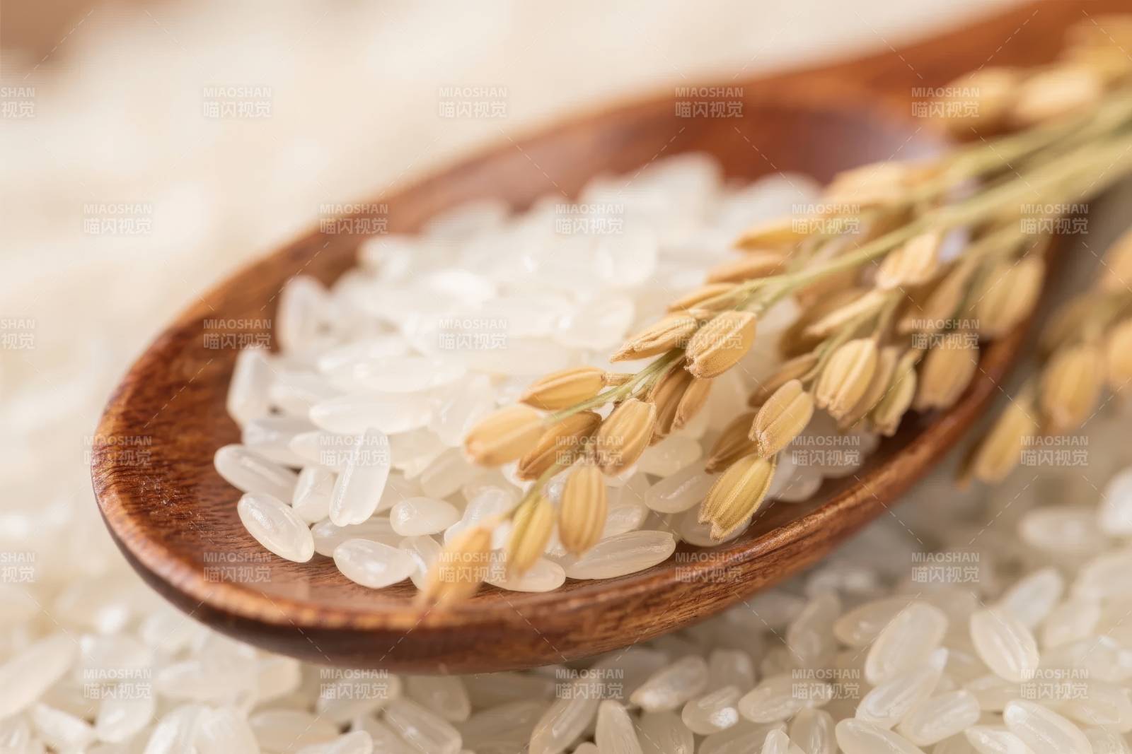 稻穗与白米图片
