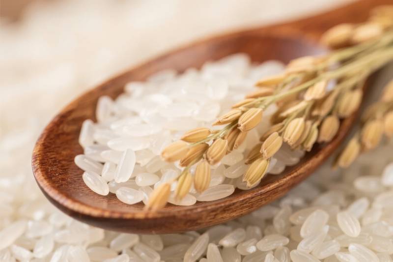 稻穗与白米图片