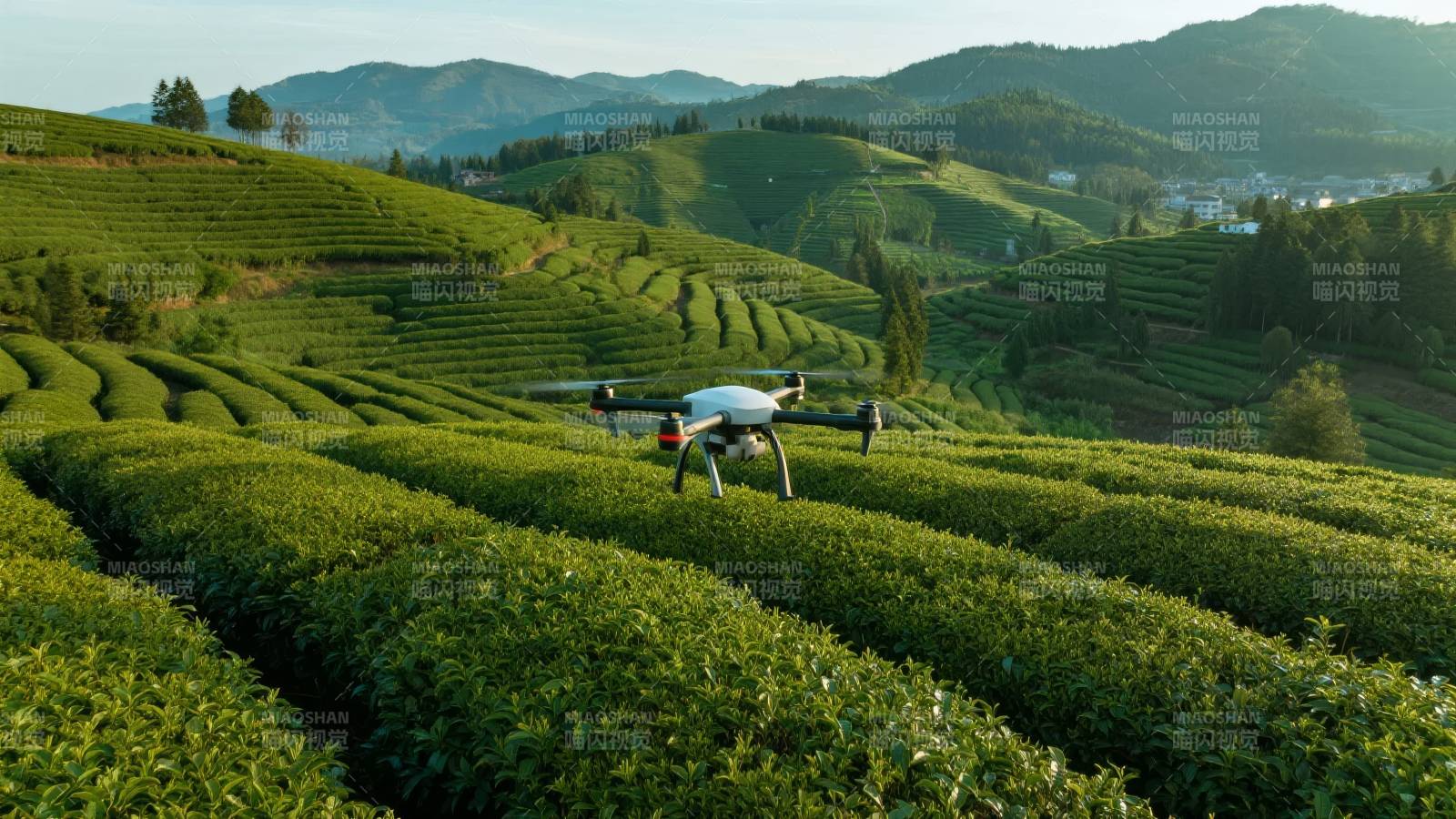 无人机飞越茶园图片