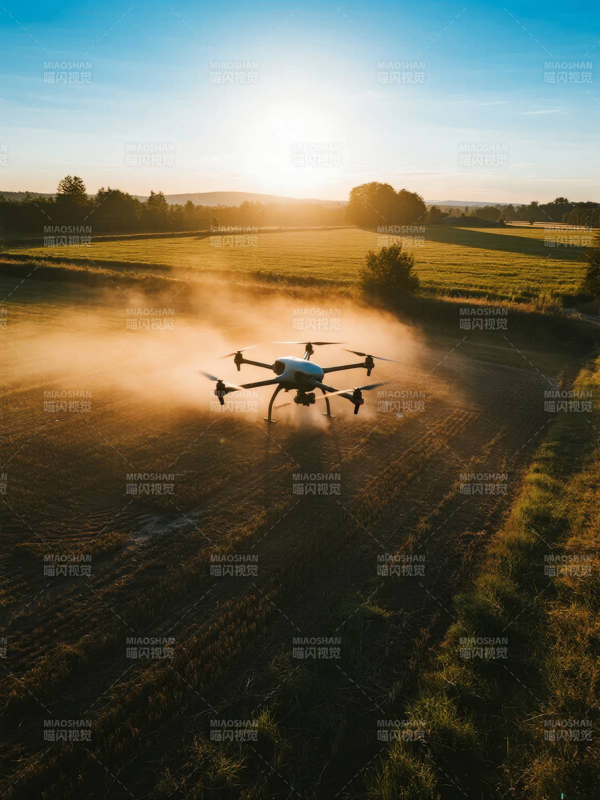 无人机晨曦作业图片