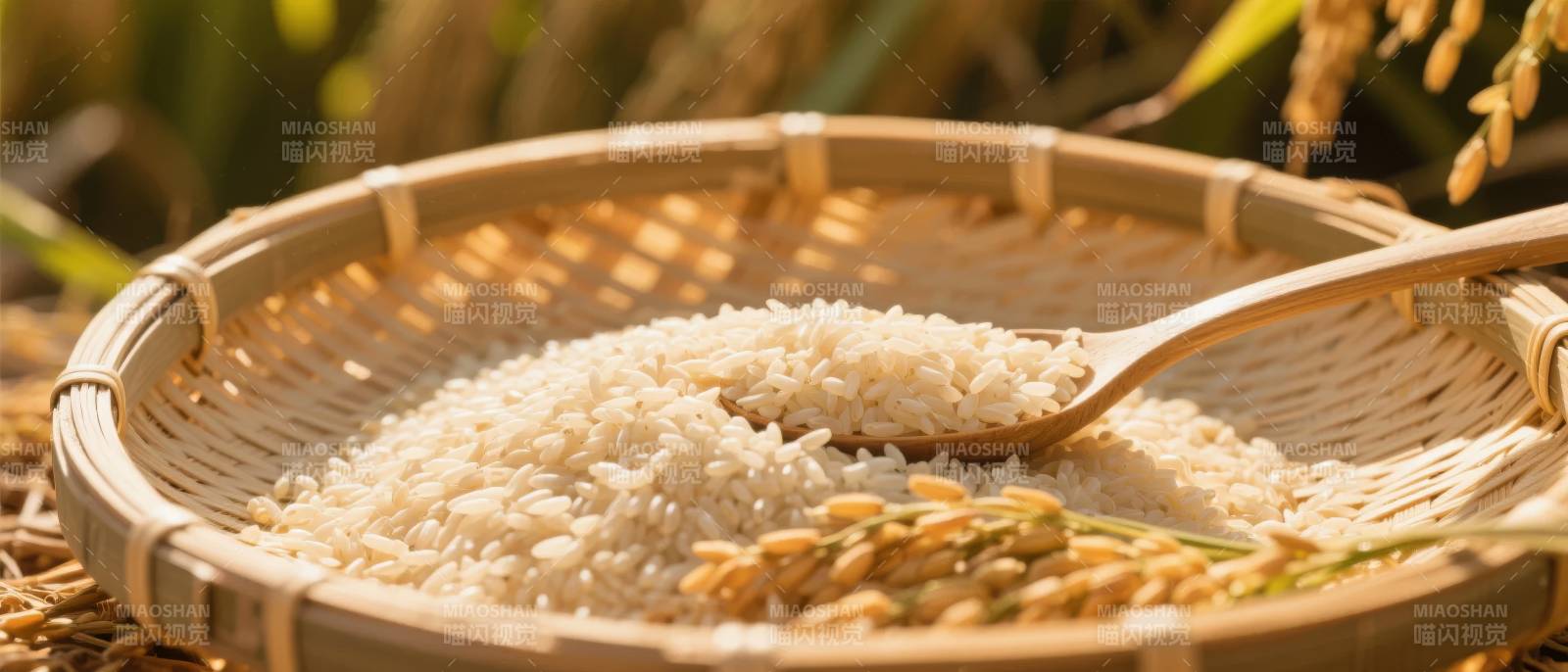 稻香满篮图片