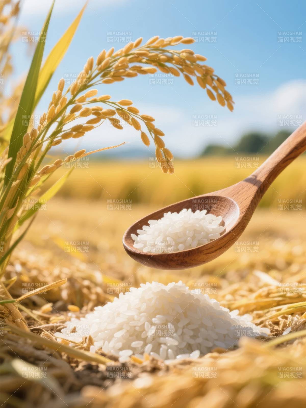 稻香满仓 粒粒皆金图片