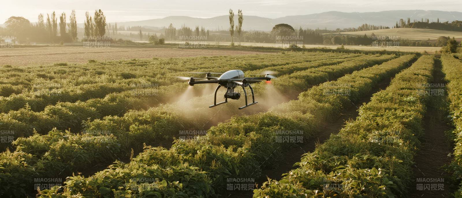 无人机农田喷洒图片