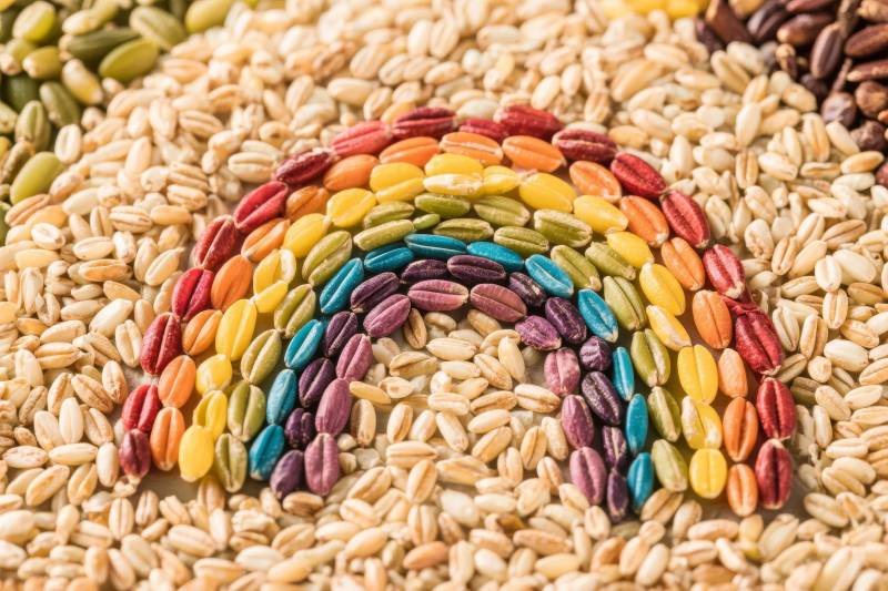 彩虹谷物艺术图片