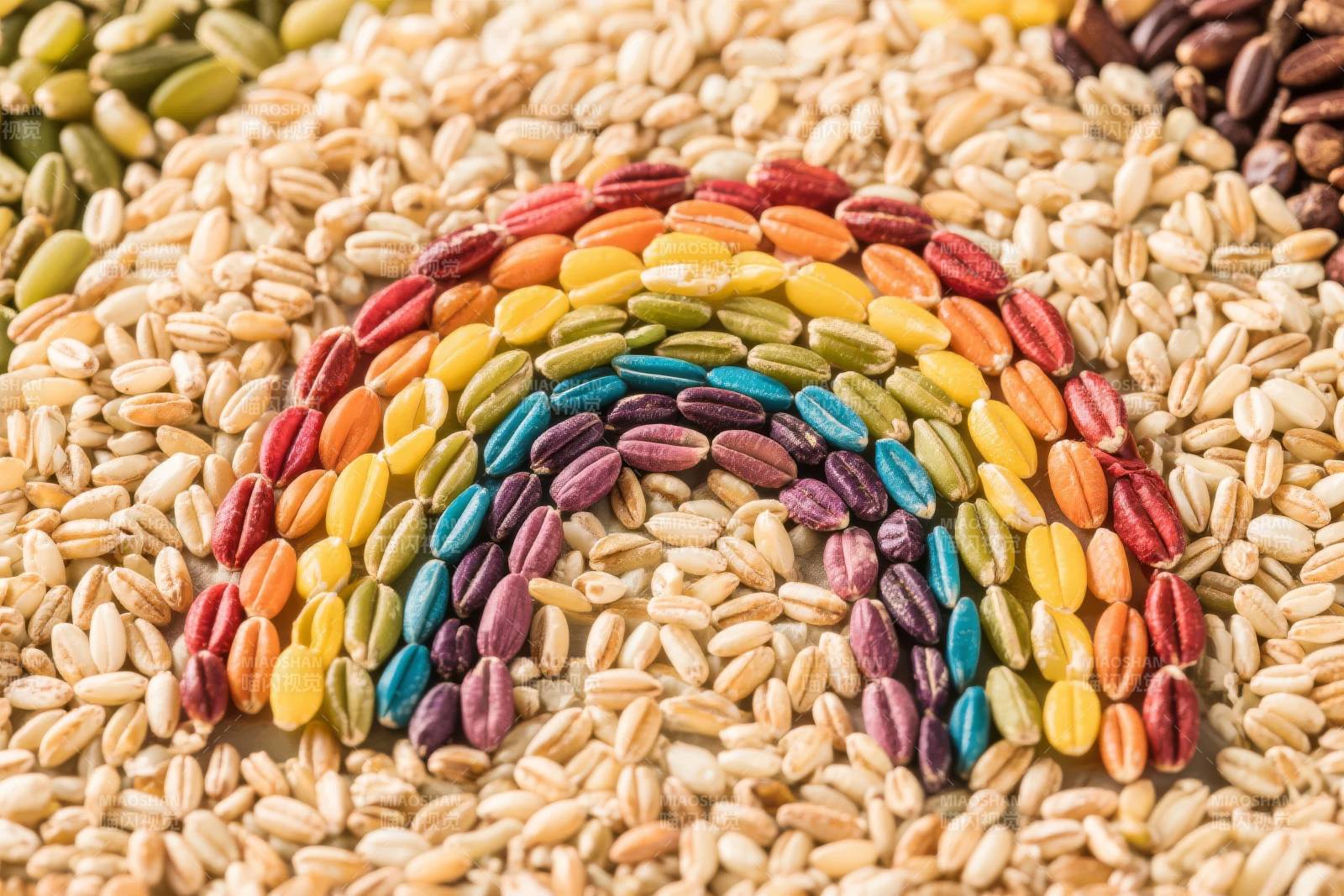 彩虹谷物艺术图片