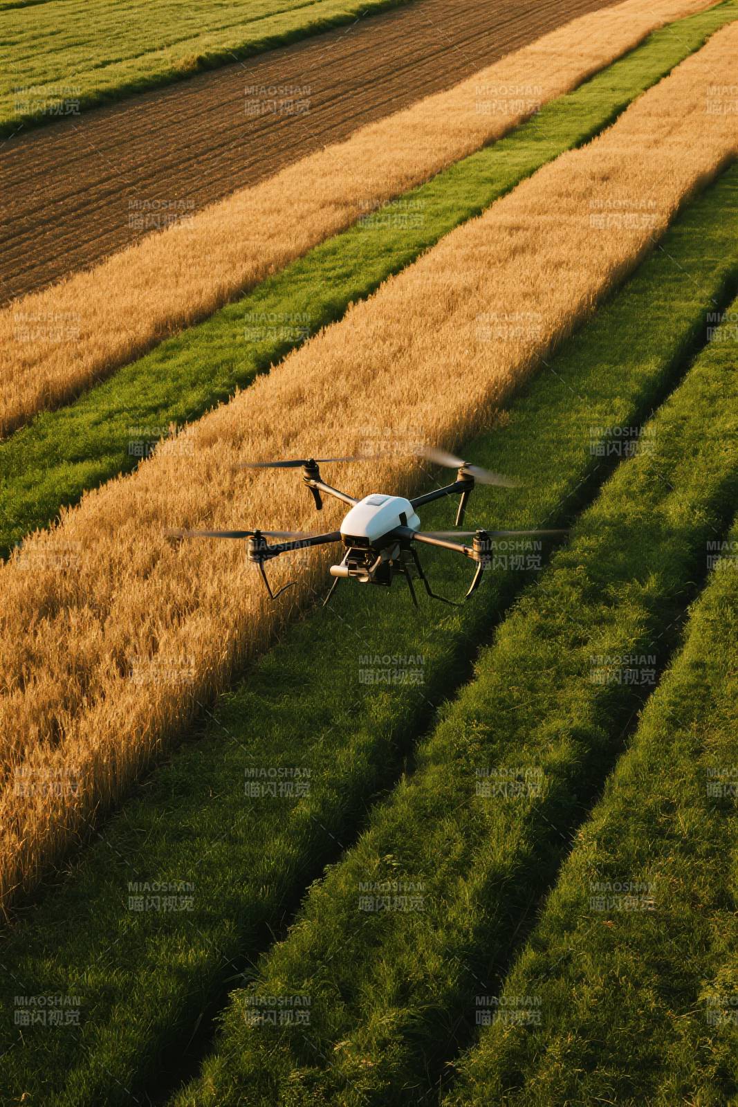 无人机巡田图片