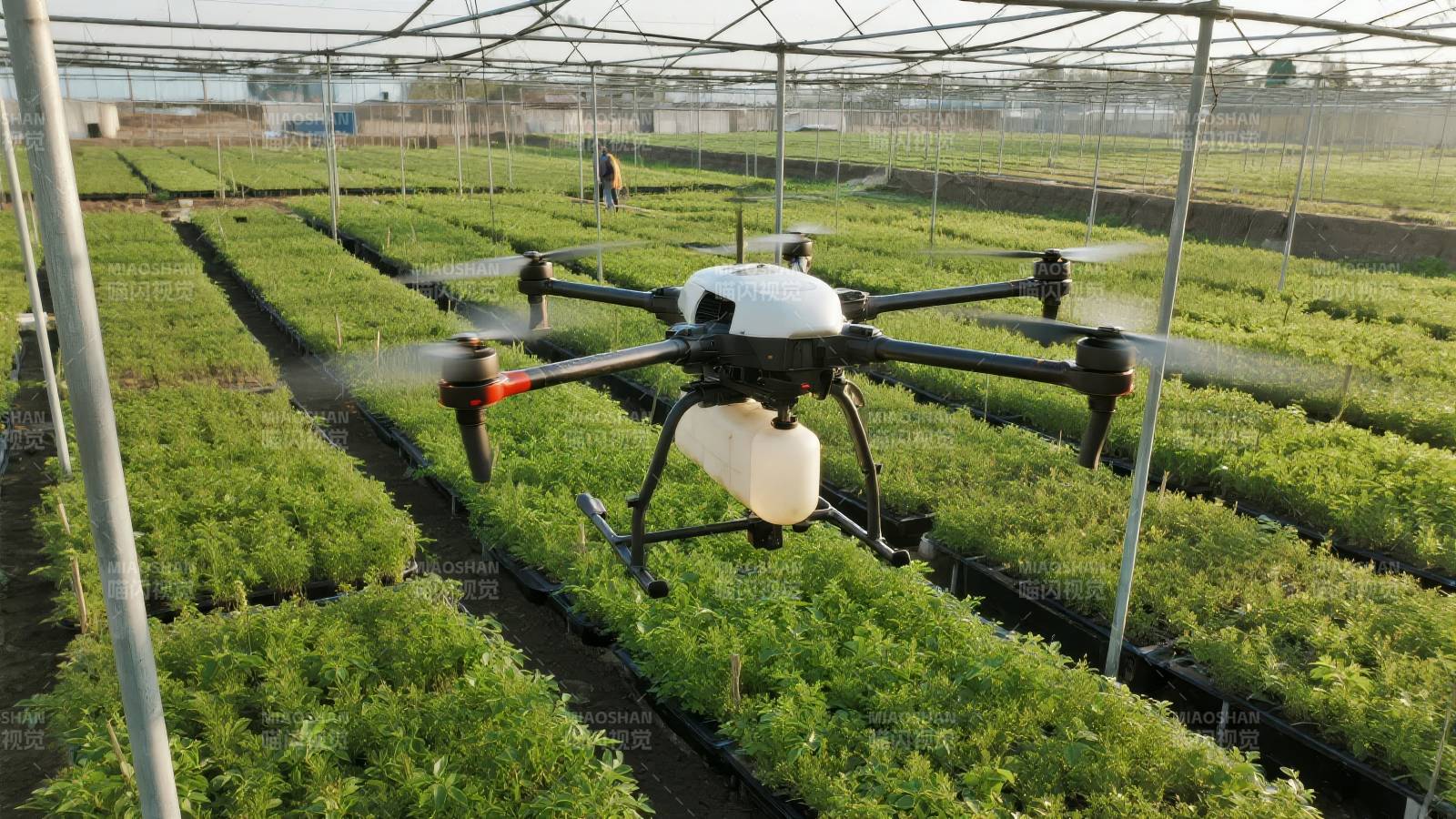 无人机植保作业图片