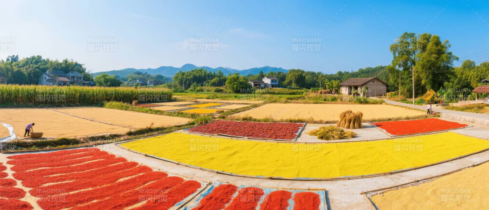 丰收晒场美景图片