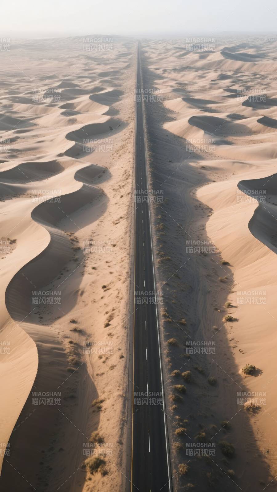 沙漠公路延伸远方图片