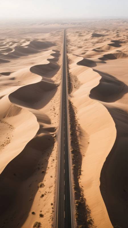 沙漠公路延伸远方图片