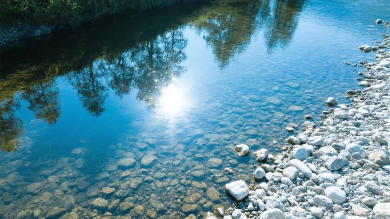 清澈溪流映树影图片