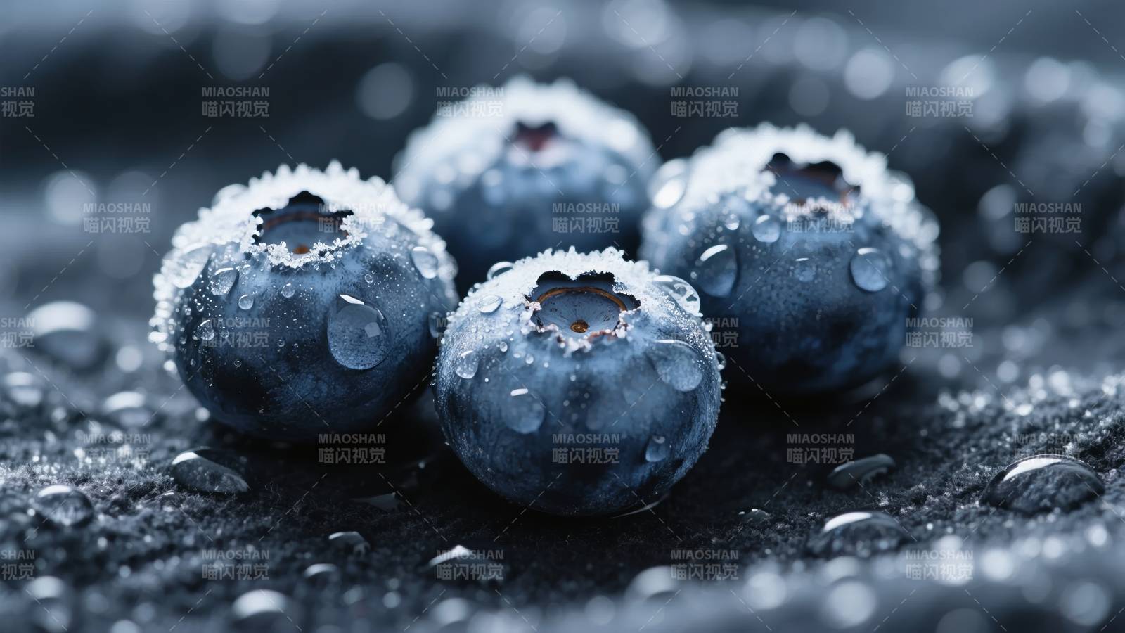 晶莹蓝莓特写图片