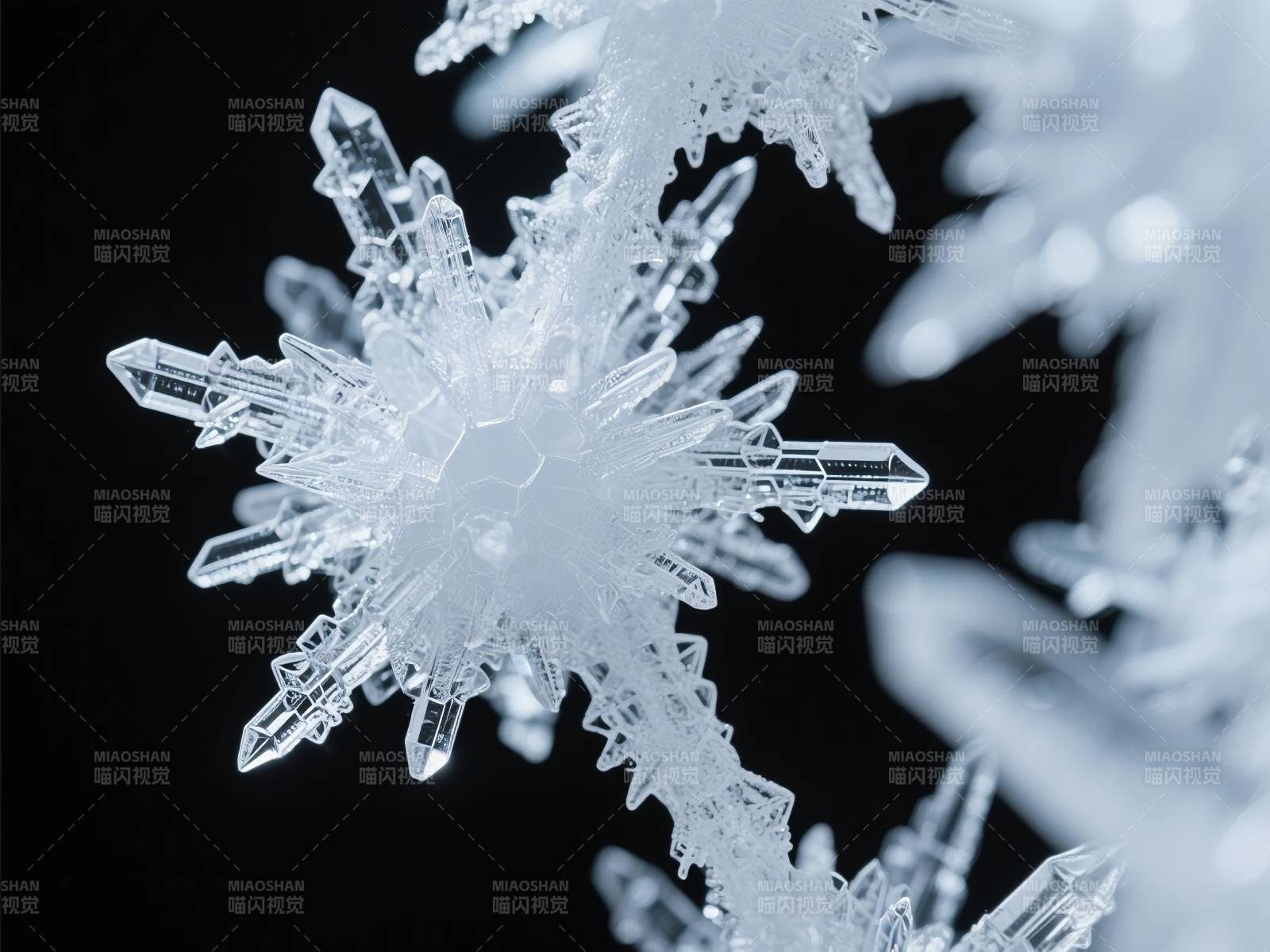 晶莹雪花特写图片