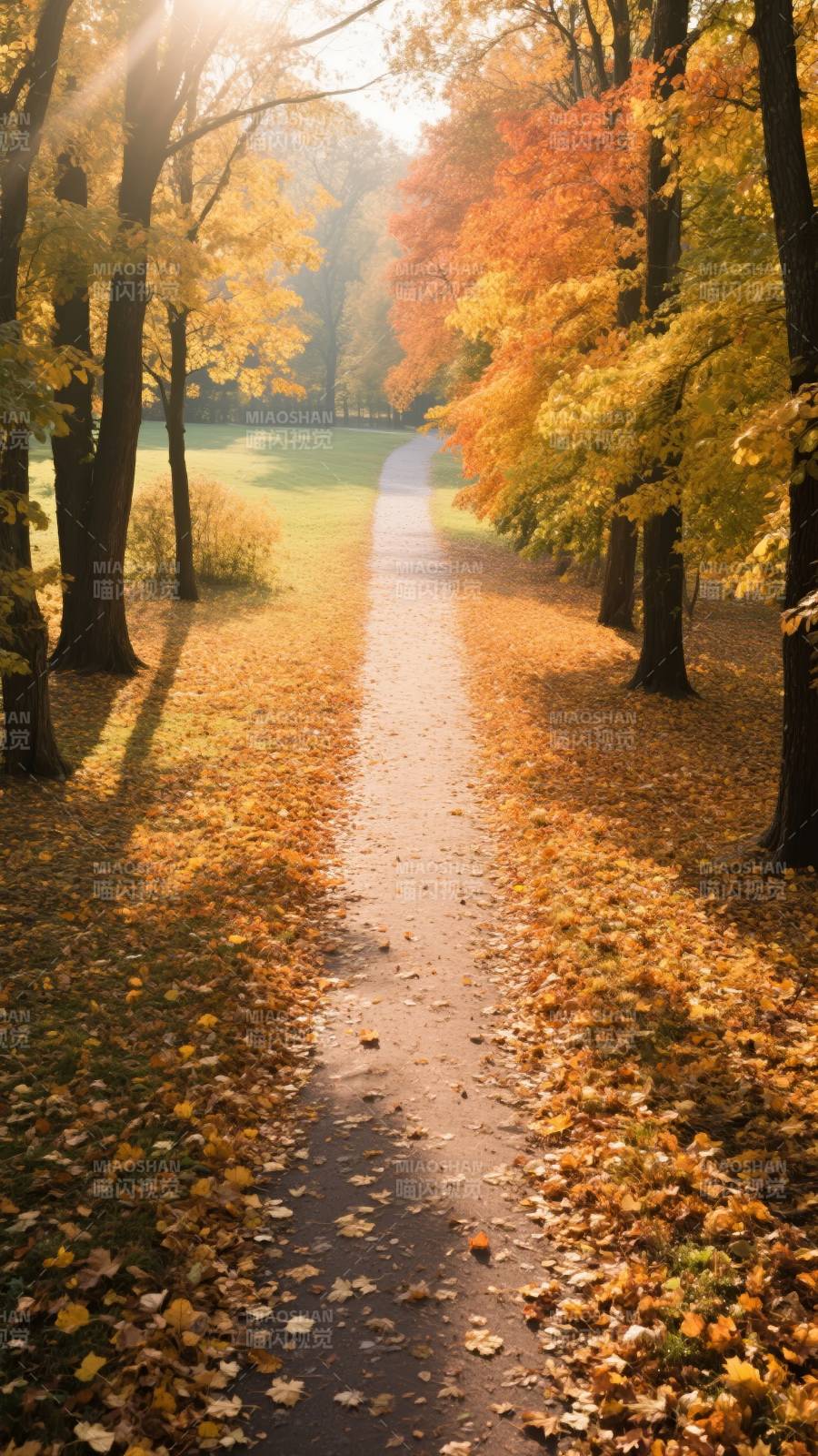 秋日林间小径图片