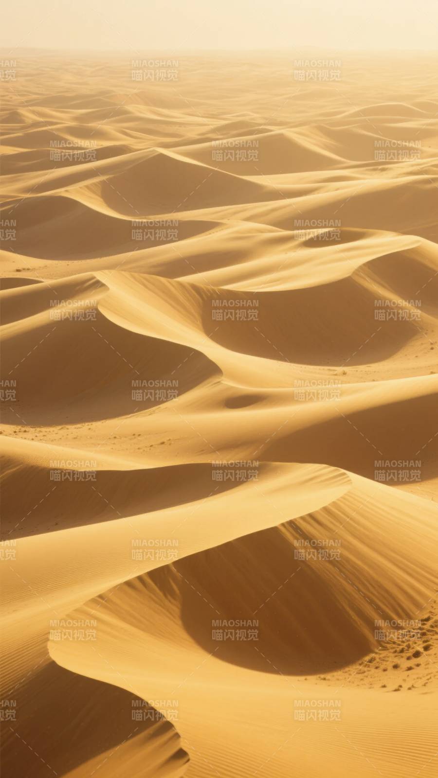 金色沙海无垠图片