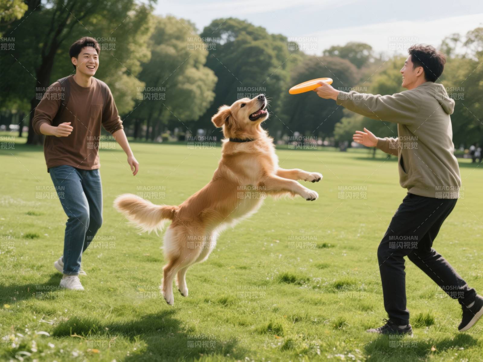 狗狗跃起接飞盘图片