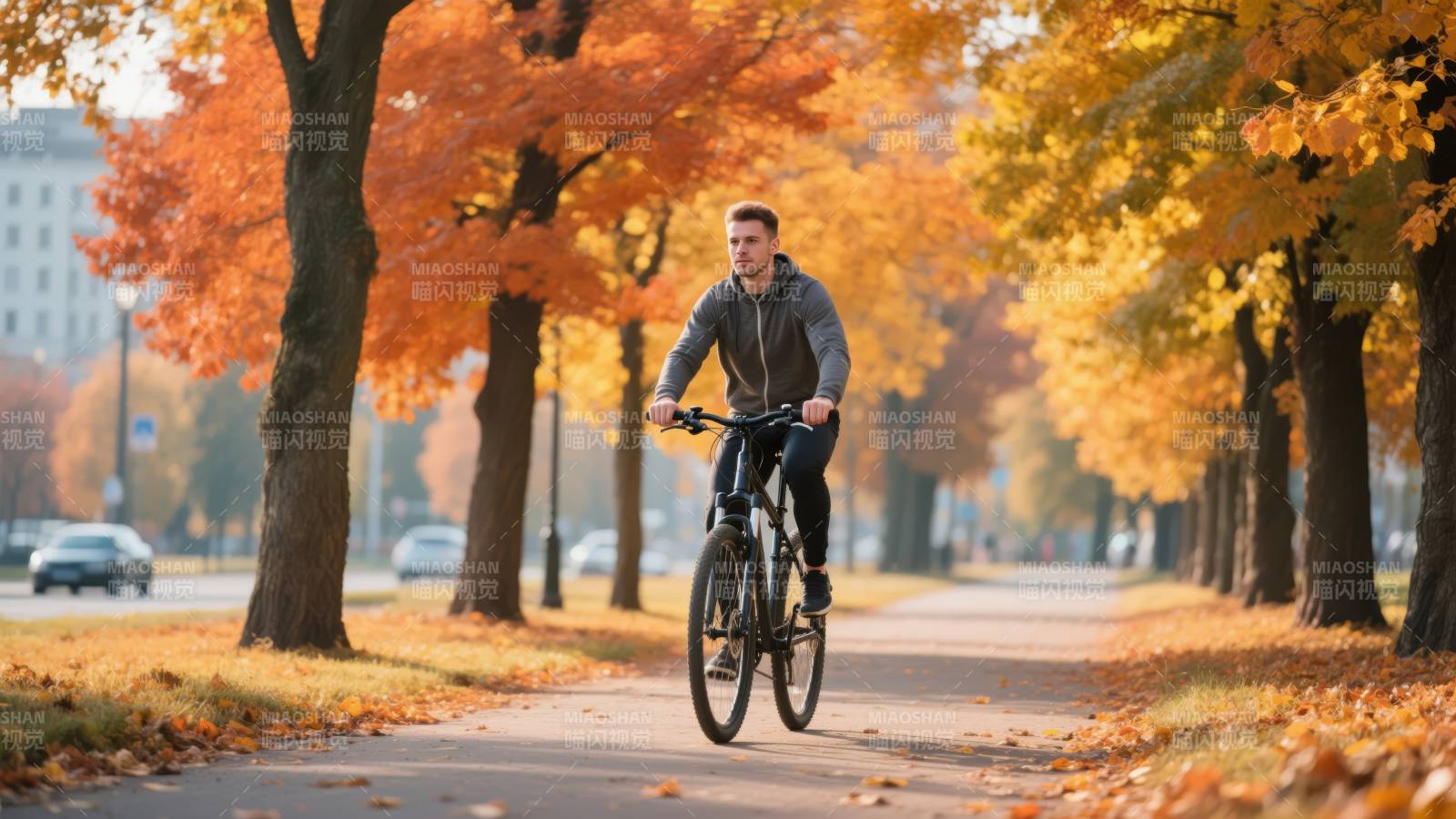 秋日骑行 落叶纷飞图片
