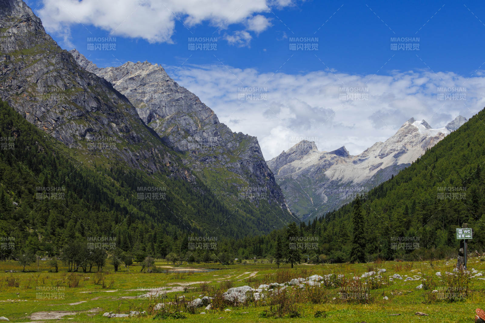 高山草甸风光图片