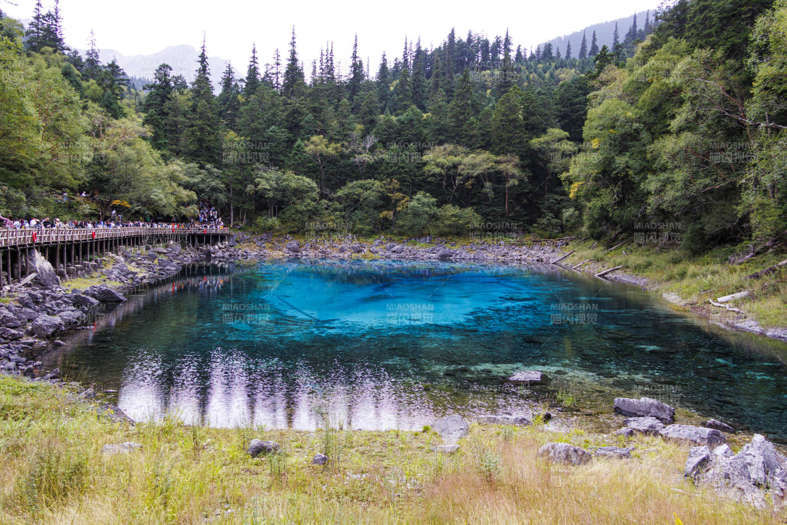 碧潭映林 游人如织图片