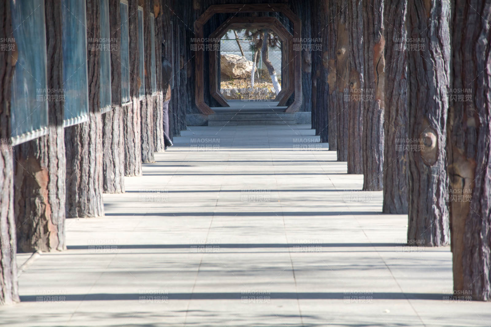 公园林间长廊尽头图片