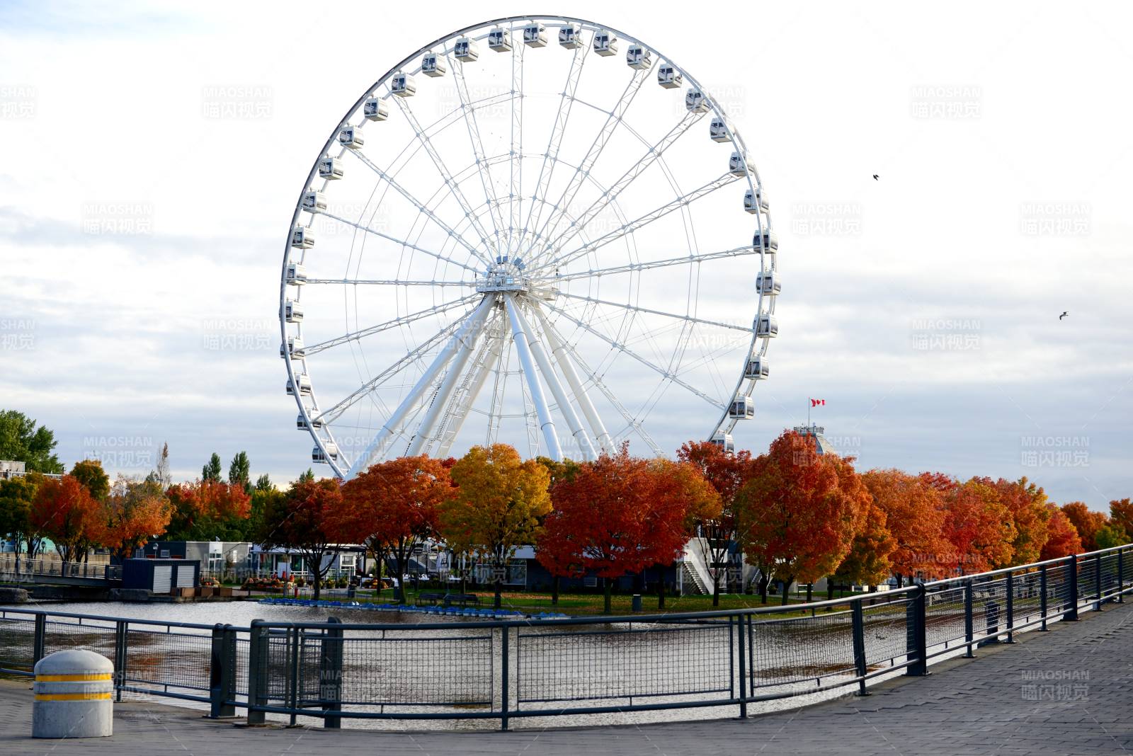加拿大秋日摩天轮美景图片