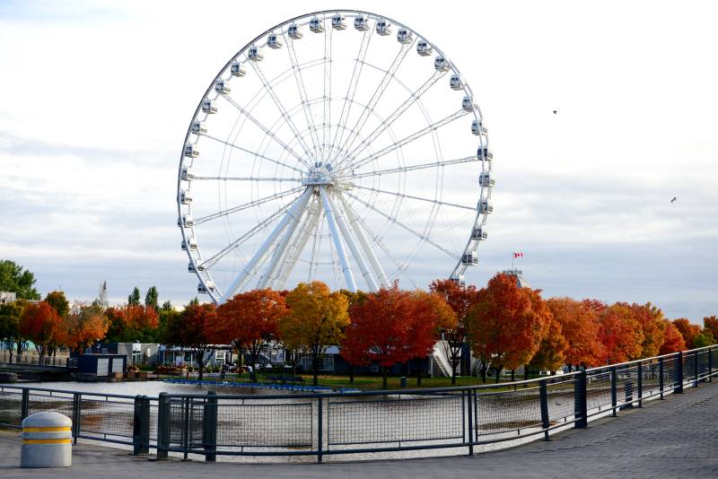 加拿大秋日摩天轮美景图片