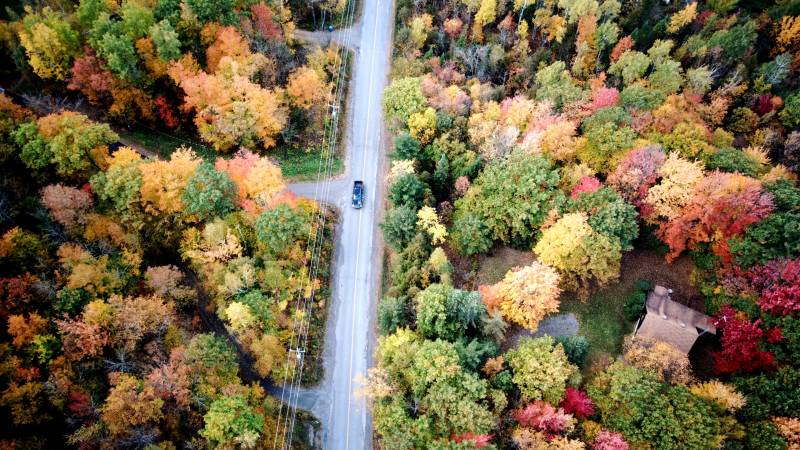 加拿大秋林公路航拍图图片