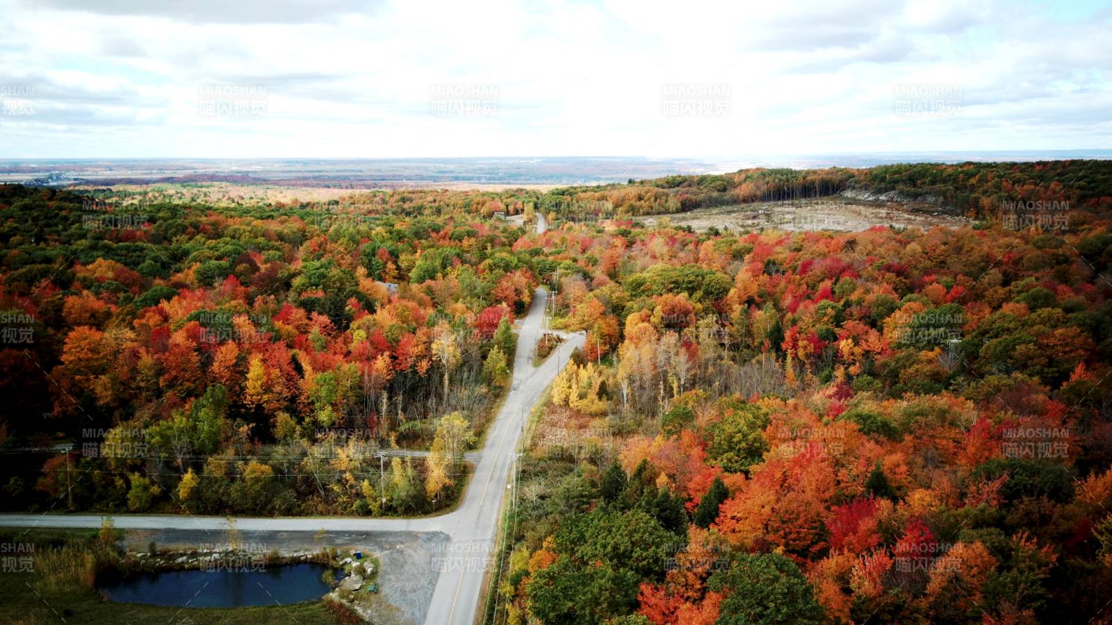 加拿大秋林小径美景图片