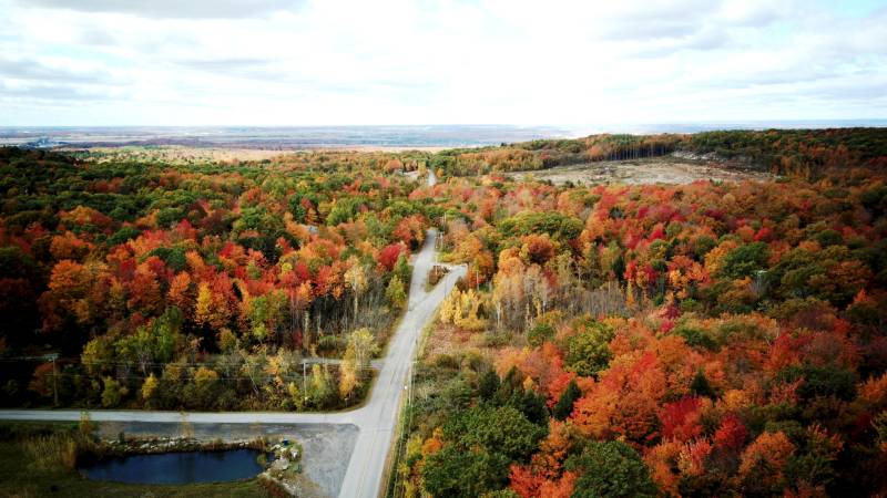 加拿大秋林小径美景图片