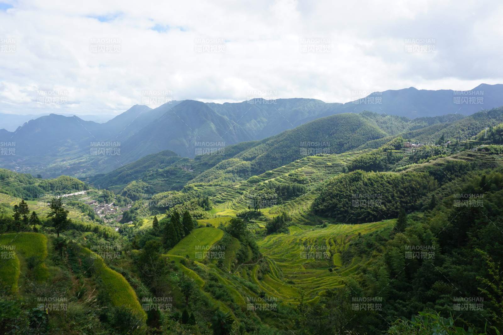 青山叠翠梯田风光丽水云和梯田图片