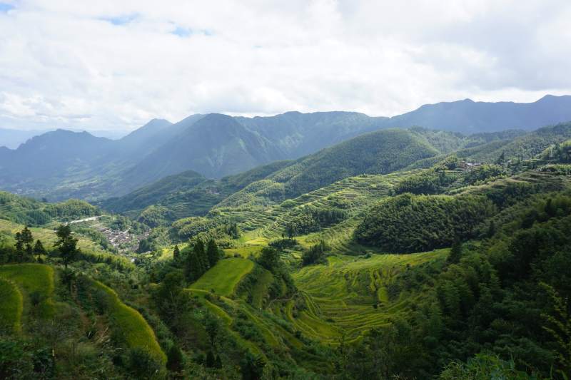 青山叠翠梯田风光图片
