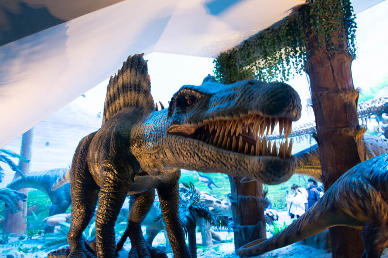 侏罗纪恐龙世界展览图片