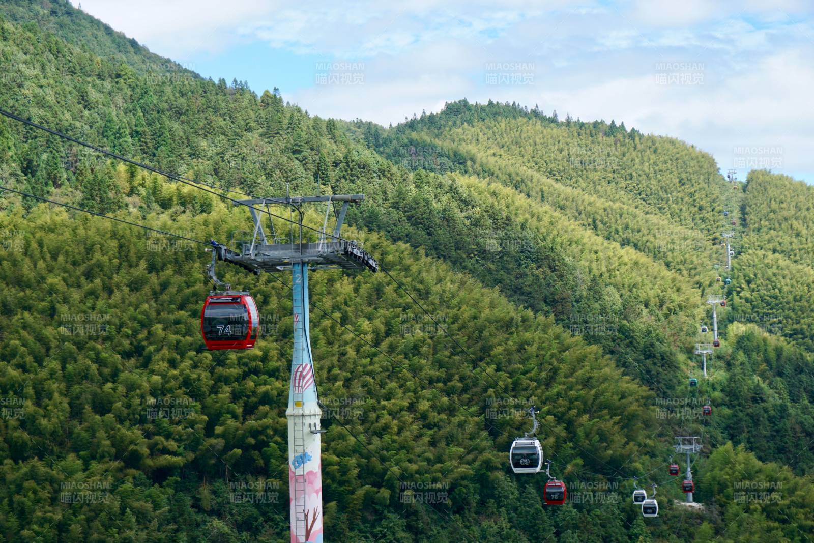 缆车穿梭在绿林间丽水云和图片