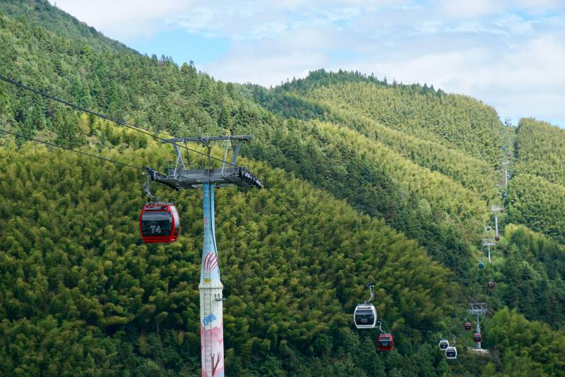 缆车穿梭绿林间图片