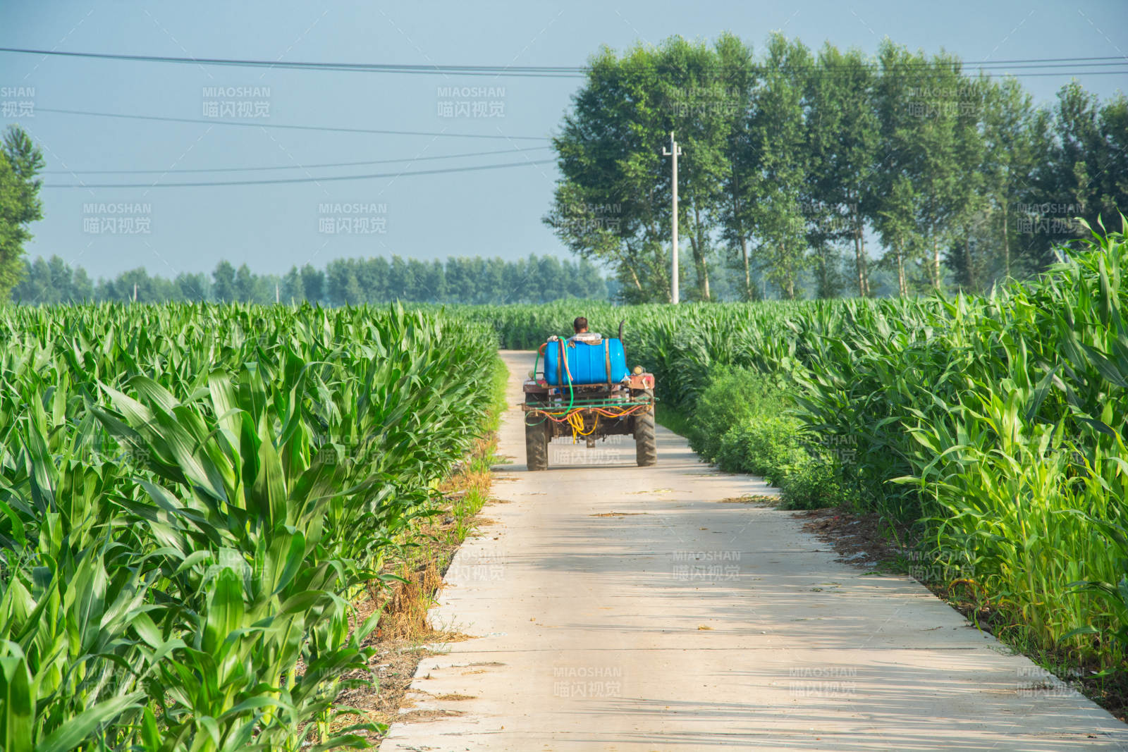 田间小路行农车图片